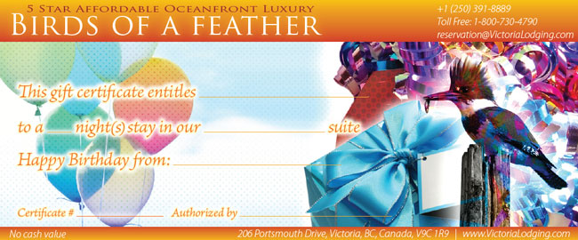 Birds of a Feather Birthday Gift Certificate