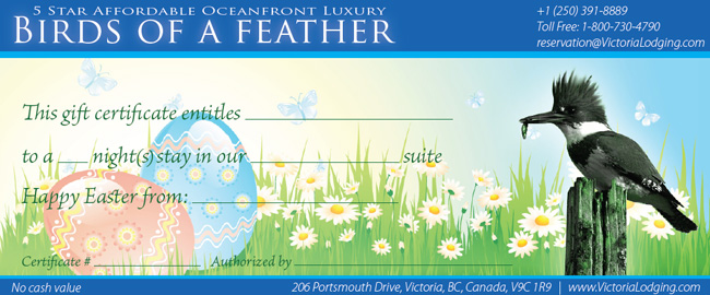 Birds of a Feather Easter Gift Certificate