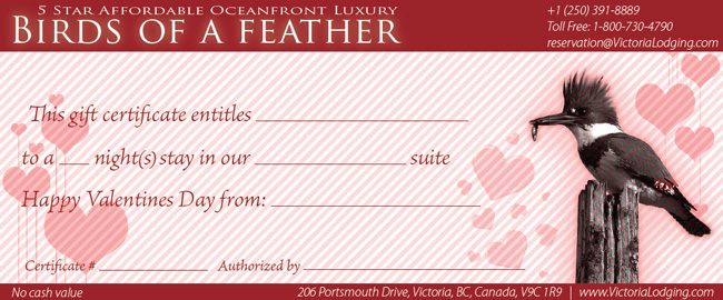 Valentines Day Gift Certificate